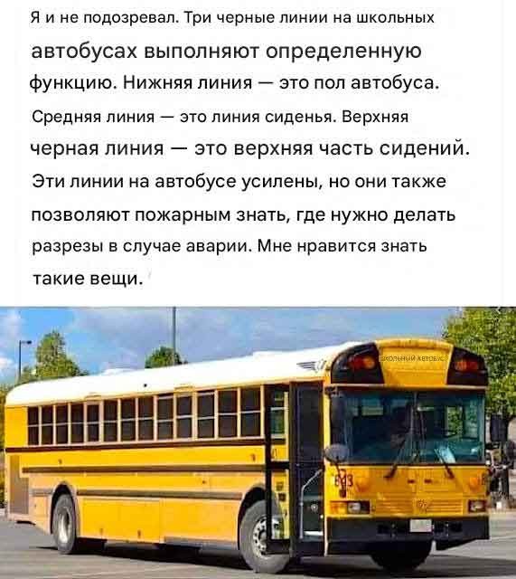 «Волшебный автобус» в дебрях Аляски и его проклятие