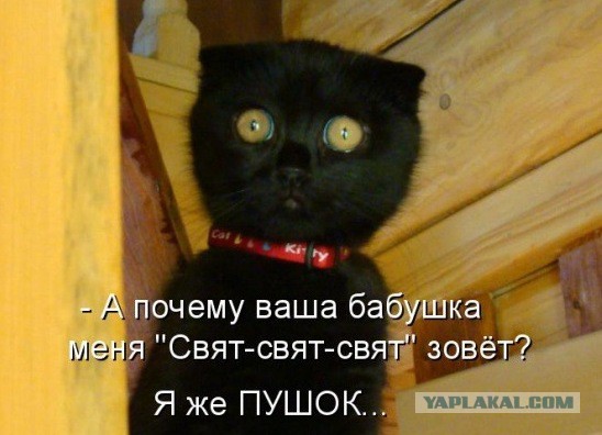 Капля позитива
