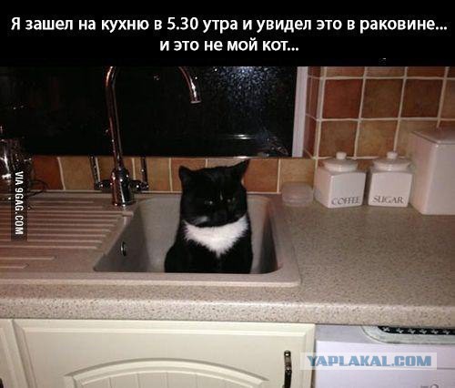 Подборка прикольных фото.