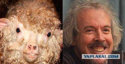 И снова здравствуйте!