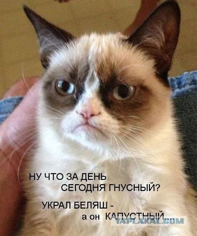 Купил, нашёл, едва ушёл.
