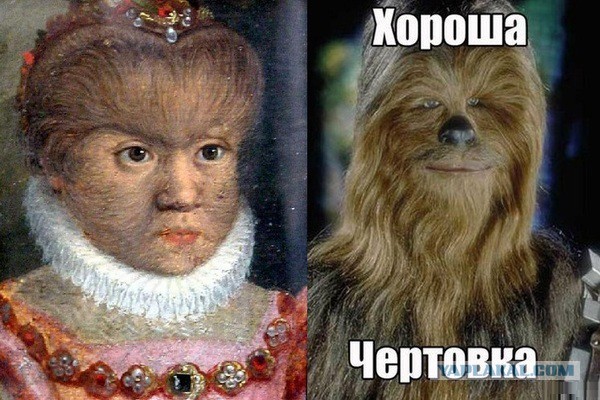 Забавные картинки из сети