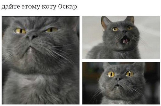 Так..картинки на понедельничек))