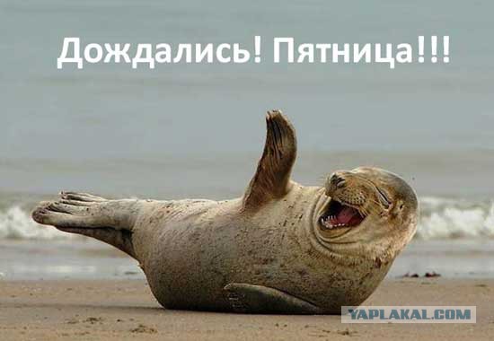 Ура... Пятница!