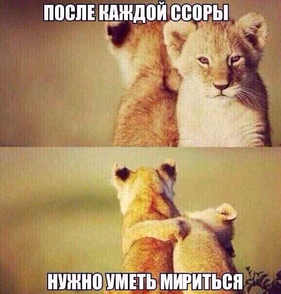 Подборка Картинок из сети