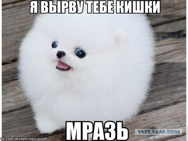 Абсурдный юмор ч.7