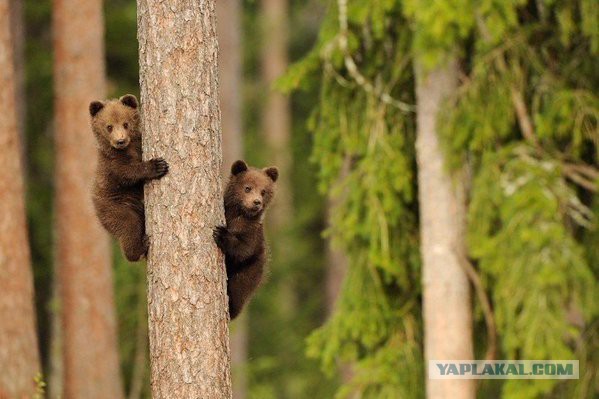 Больше, чем фото