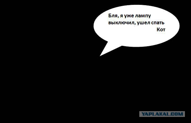 Друг мне рассказал