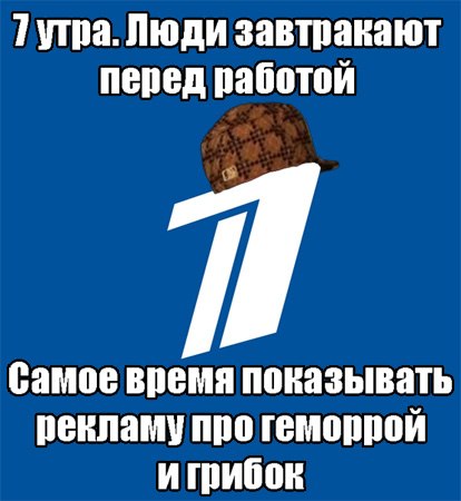8041881.jpg