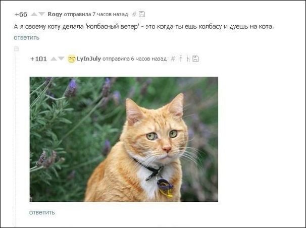 Скриншоты из сети