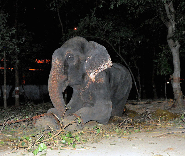Моменты, запечатлённые на фото и просто позитив 5
