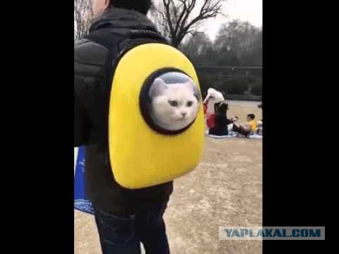 Я не люблю детей в самолетах