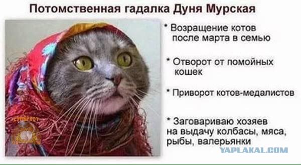 Подборка интересных и веселых картинок