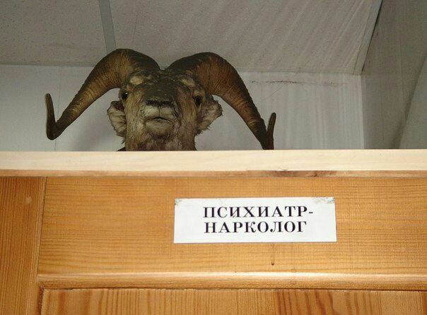 Лютый и не совсем светлый юмор