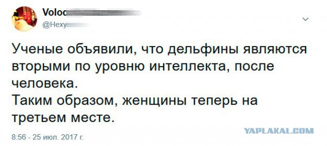А чего добилась ты?