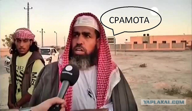 10 аморальных фотографий иранской актрисы, посмевшей снять хиджаб