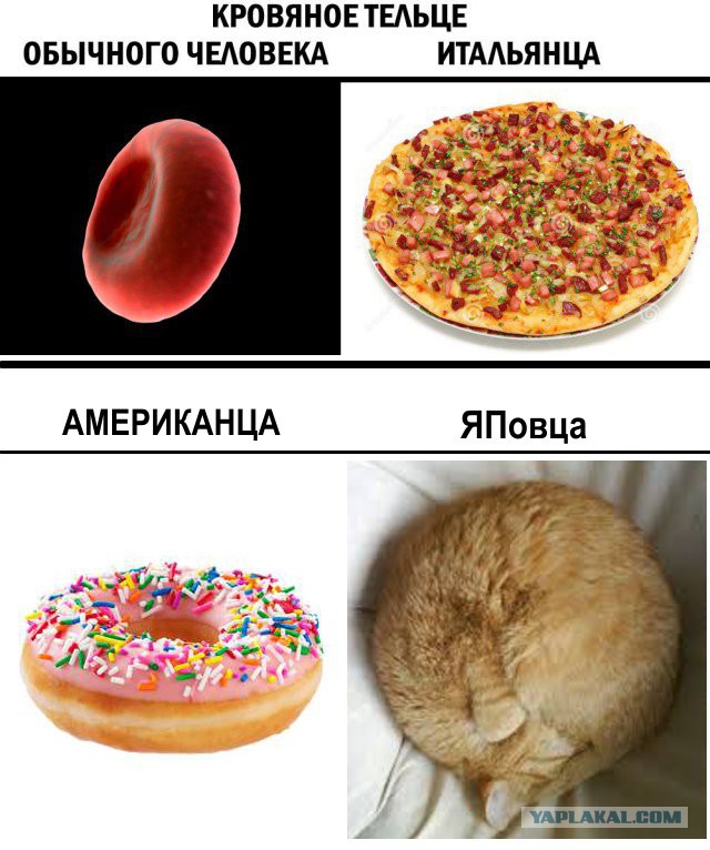 Нас всех преследует понедельничная деградация и откровенный тупёж!