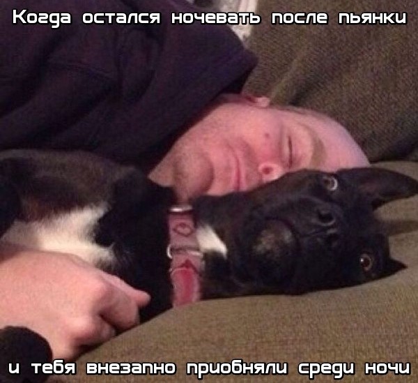 В работе сделай перерыв, пост с картинками открыв