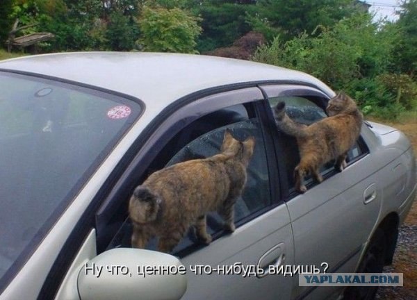 Lada в люксовой комплектации.