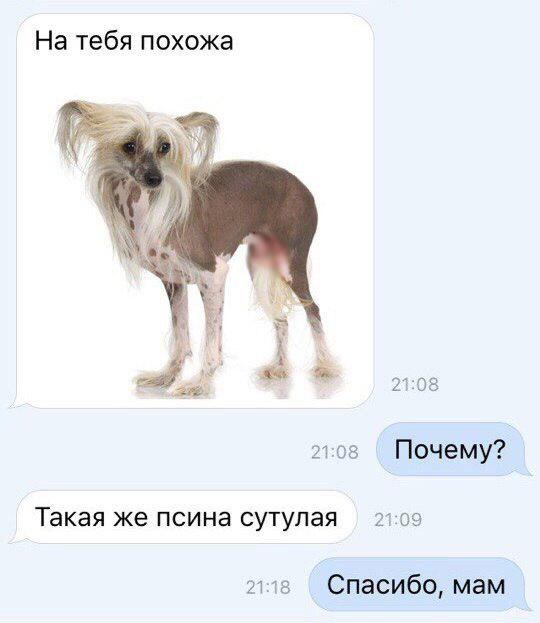 25 картинок в этот понедельник