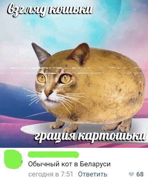 Нестандартный юмор
