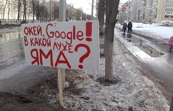 Лента прикольных картинок