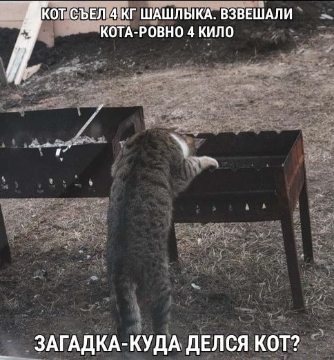 Применим физику в постели или белка и стрелка. Картинки