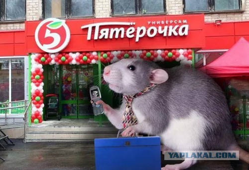 Что едят американцы вместо Доширака