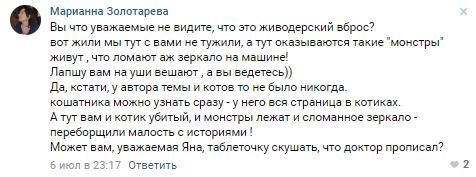 Помогите вернуть кота! Приют "Преданное сердце" украл кота и не отдает!-2