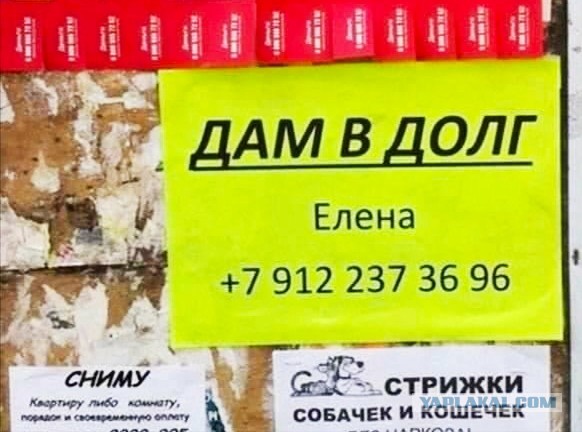 Чуток картинок 04.05.20