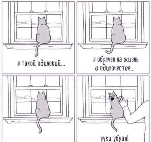 Юмор из соцсетей 24.07.20