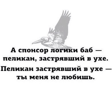Фотки и картинки: юморные и красивые, забавные и милые 30.09.20