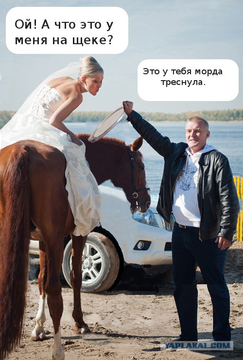 Фотожаба: помощник