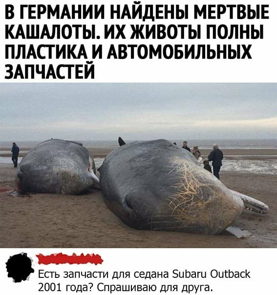 Черный юмор не для всех 18+