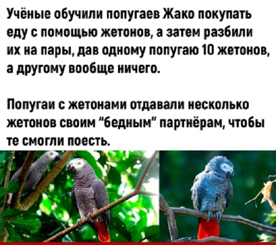 Картинки с надписями и всякие жизненные фразы 23.1.21