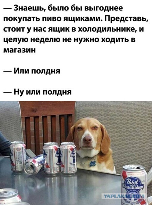 Кретинизмы из KV и KO 27.01.21
