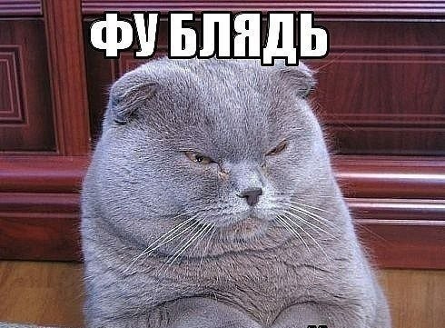 Неухоженные женщины