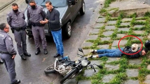 Кошки часто любят отдыхать там, где их, в принципе, не должно быть