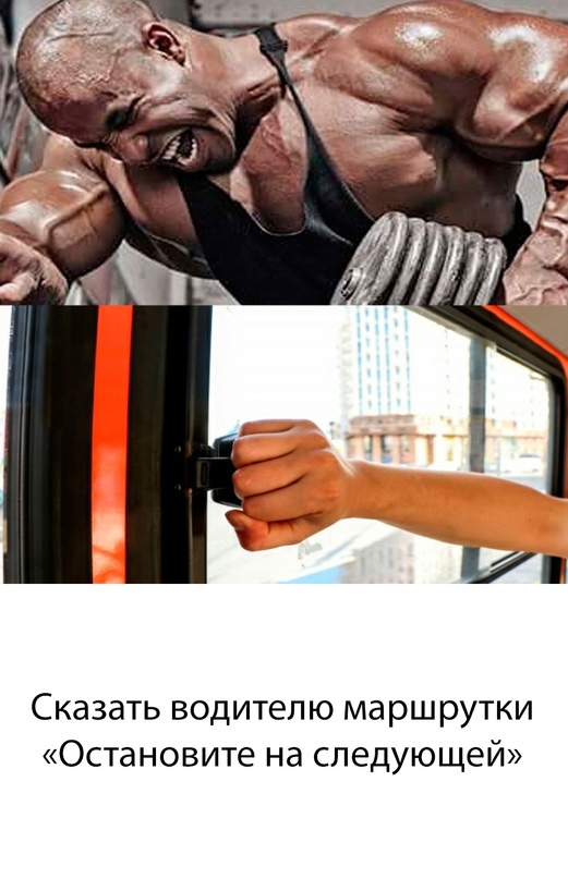 Весёлый полтишок 8.08