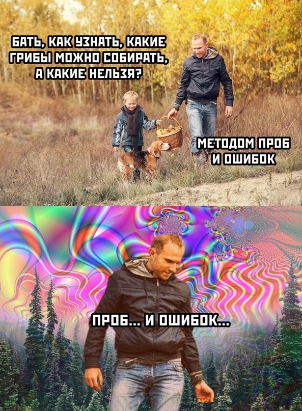 Весёлый полтишок 30.10