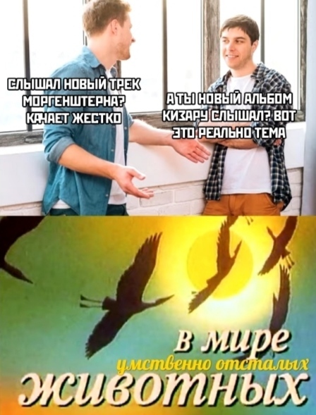 Воскресная Хня вам в ленту, дорогие деграданты