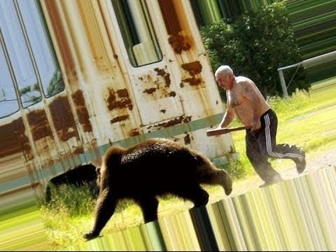 Спас собачек от михаила