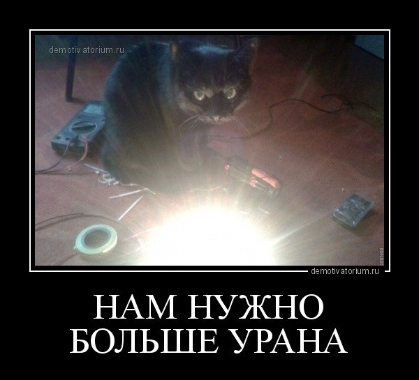 Ну, поехали в котоввторник!