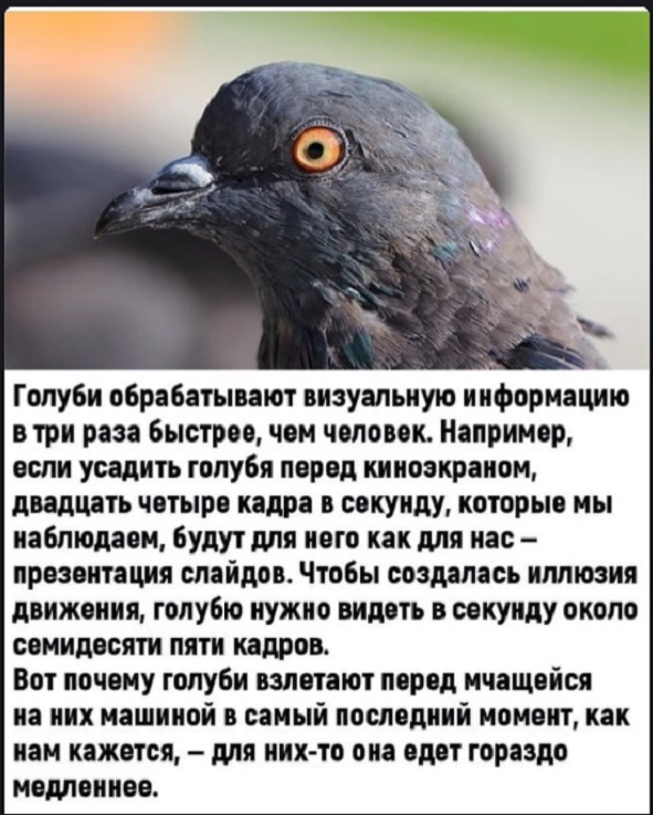 Картинки с надписями и всякие жизненные фразы