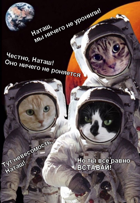 40 картинок разных 12.04.2022
