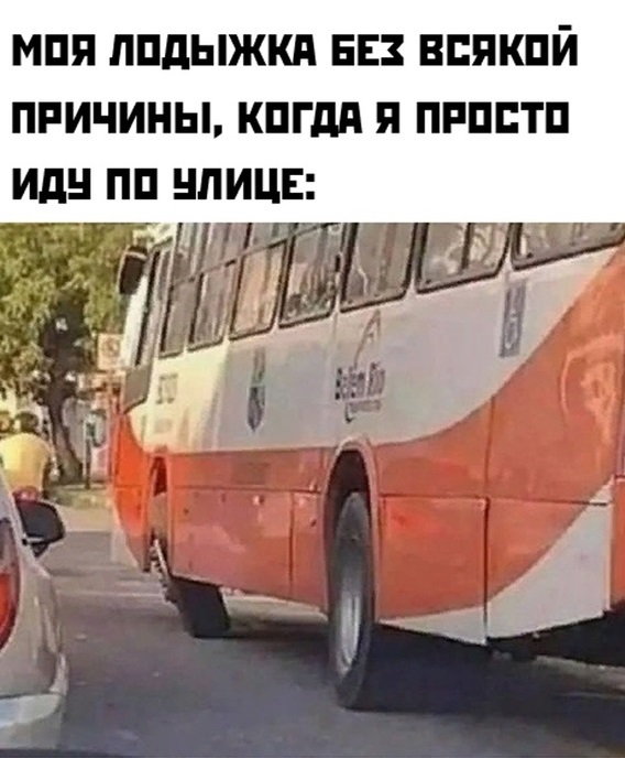 Весёлый полтишок 20.06.22