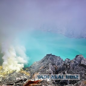 Они живут только 40 лет