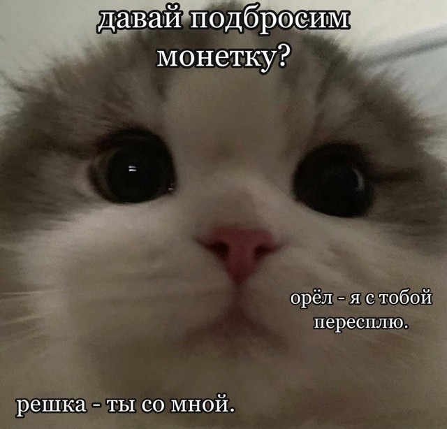 Немного мемчиков. Для взрослых 18+. Часть 3