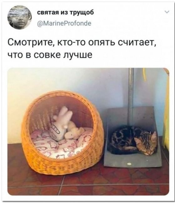 Скриншоты и комментарии из социальных сетей 22.07.22