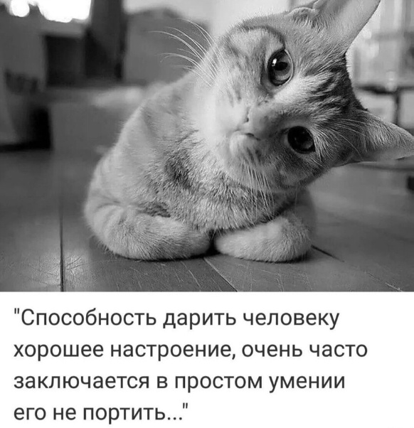 Народная меДИЧина 7.08